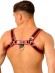 БДСМ Комплект: Сбруи Fist Leather Chest Harness Красно-Черный и джоки Fist Leather Jock Черно-Красный