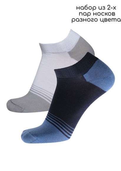 Две пары мужских носков Носки мужские разноцветные Pantelemone Active PNS-135, размер 25 (38-40), 2 пары